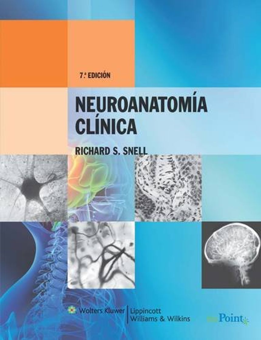 Book Neuroanatomía clínica