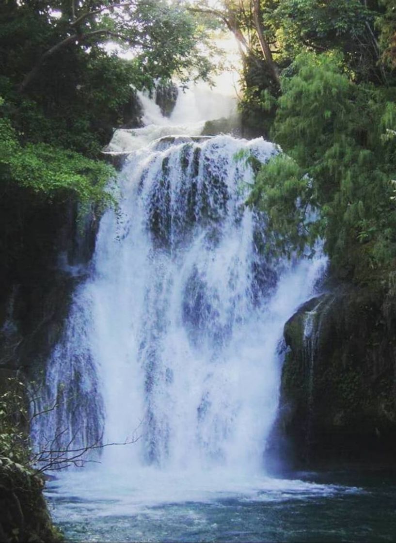 Lugar Cascadas de Tamasopo