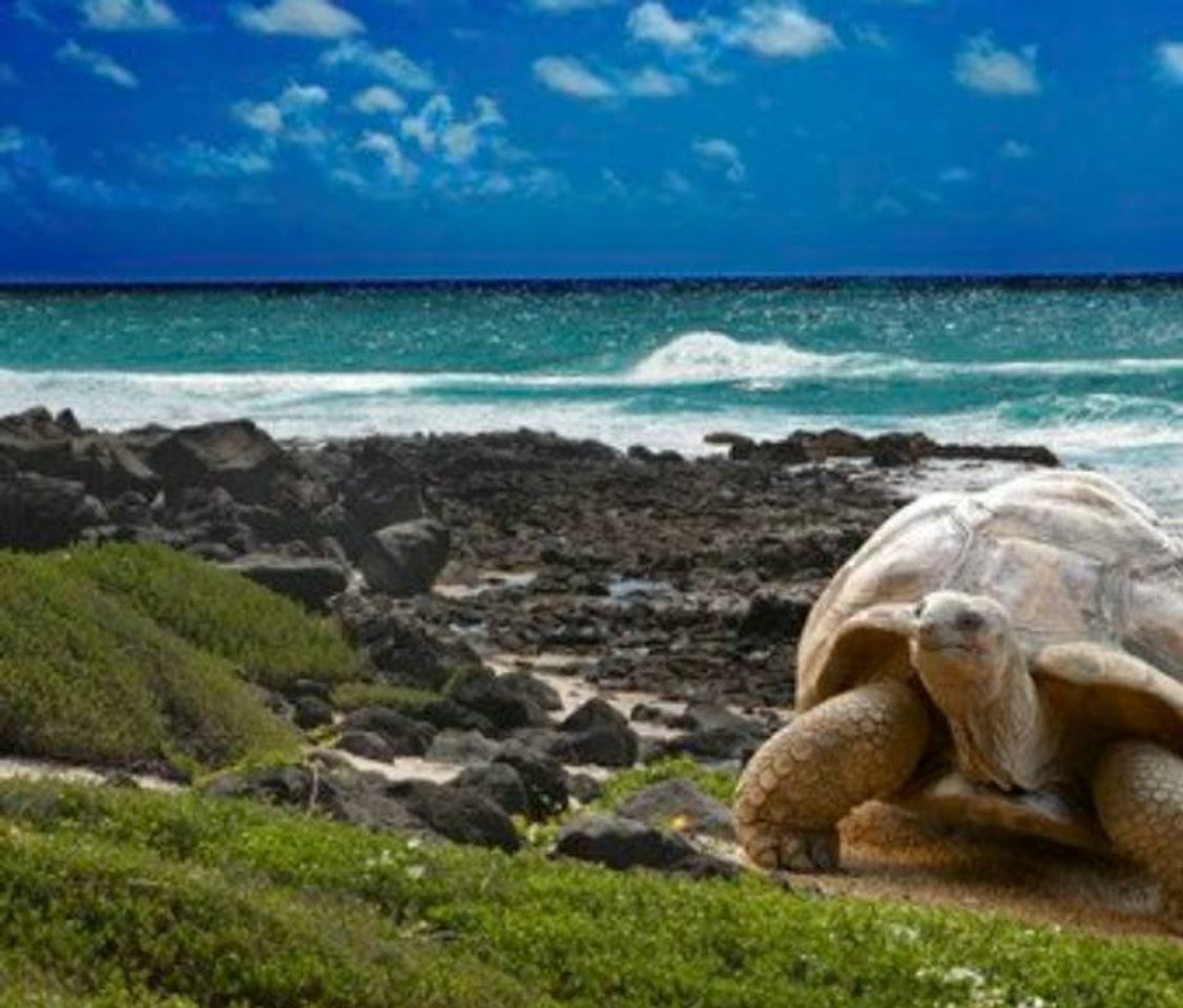 Lugar Galapagos