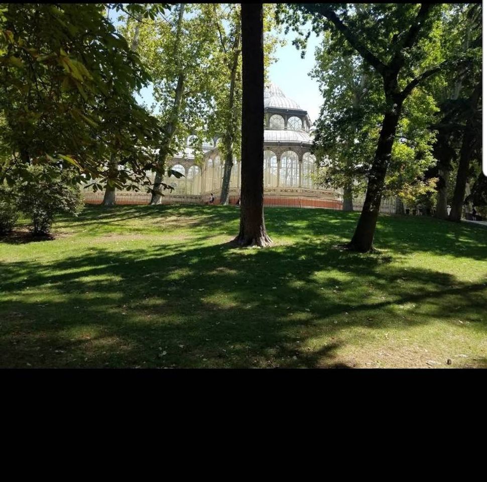 Lugar Parque El Retiro