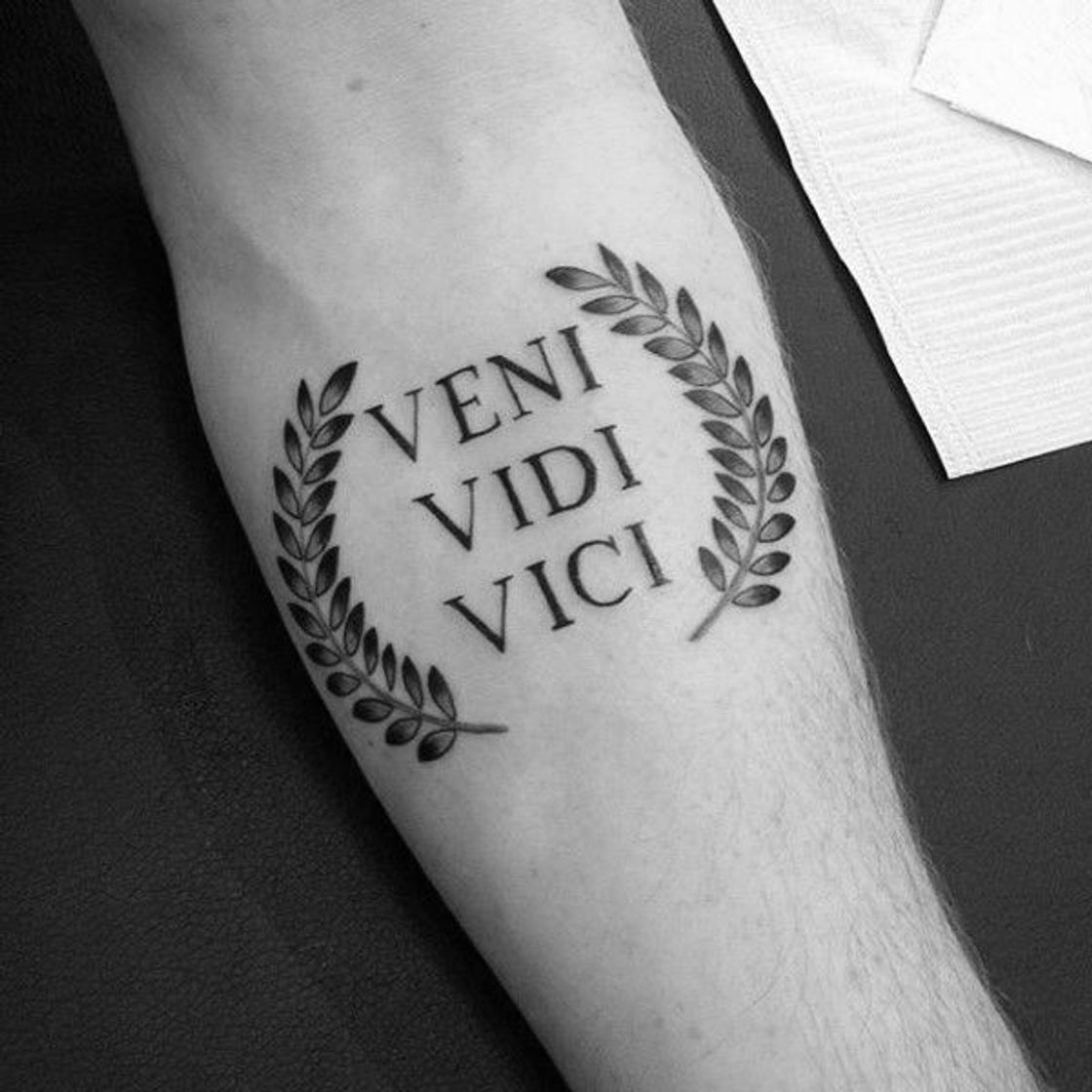 Music VENI, VIDI, VICI