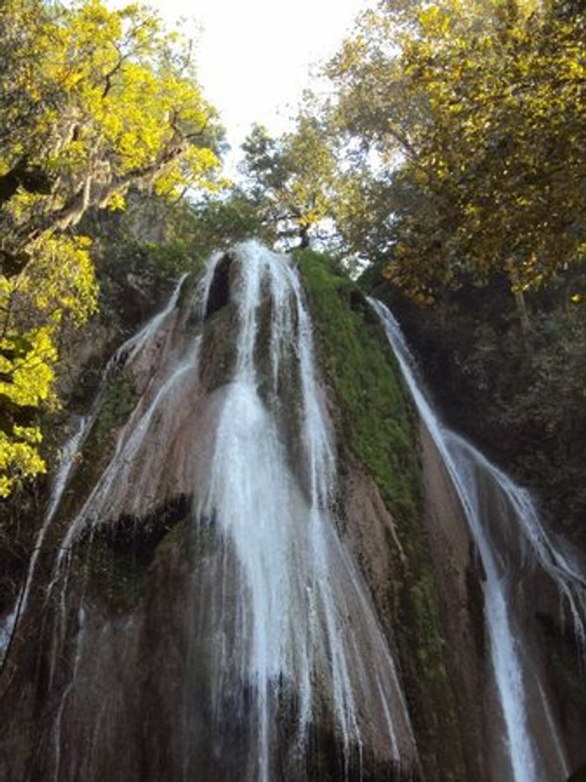 Place Cascada Cola de Caballo