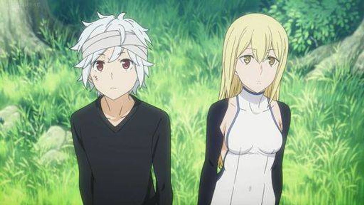 DanMachi (AMV) Hero
