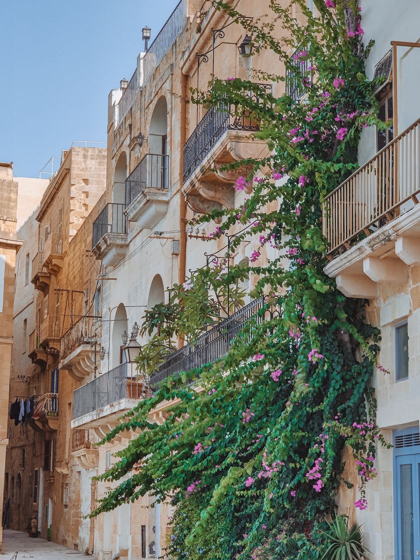 Lugar Senglea