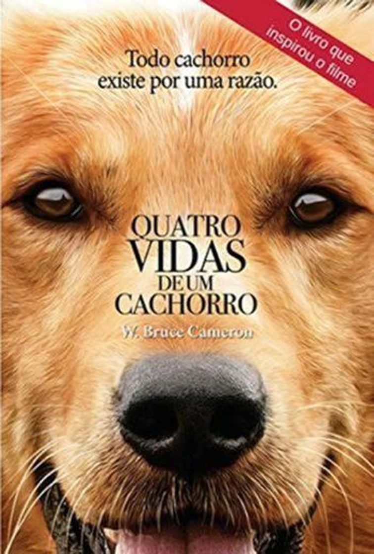 Libro Quatro Vidas de Um Cachorro