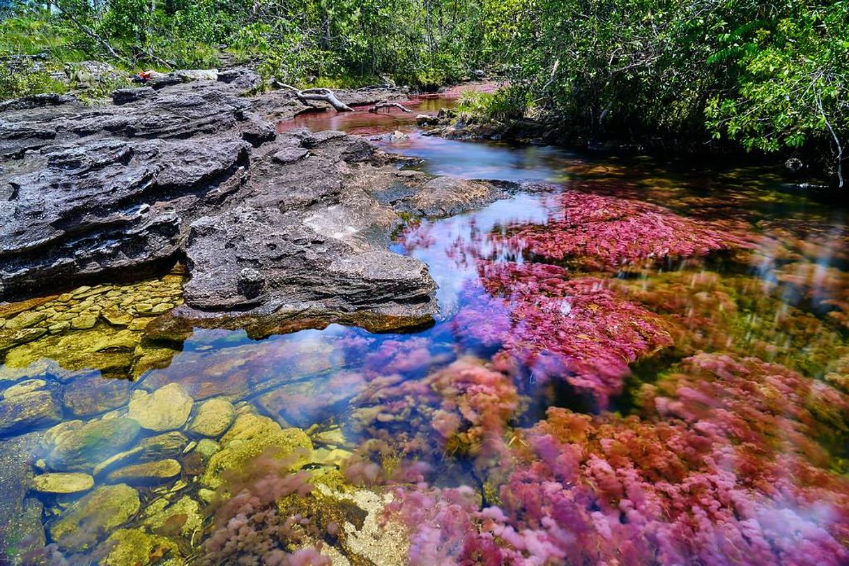 Places Via Rio de los 7 Colores