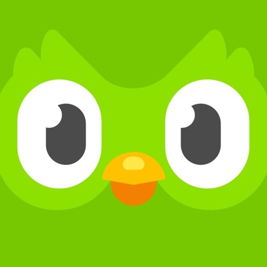 Aplicação Duolingo - Language Lessons