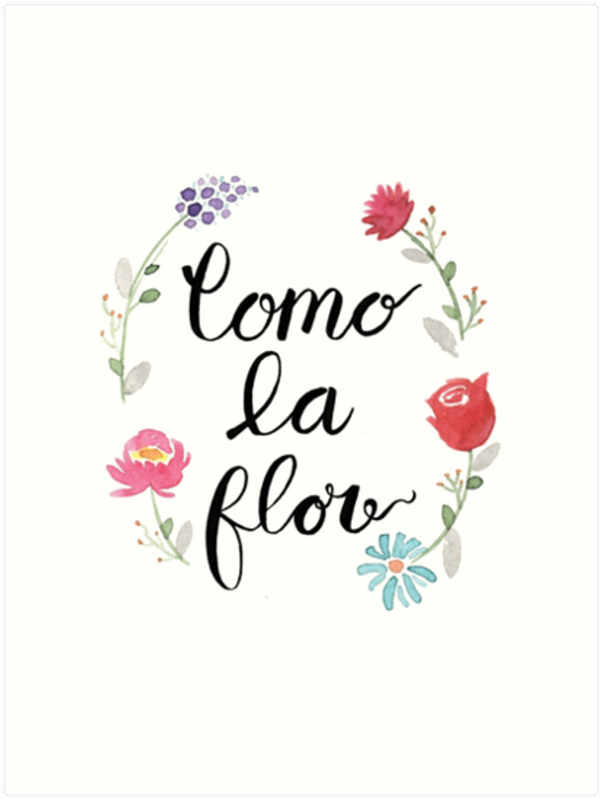 Canción Como La Flor