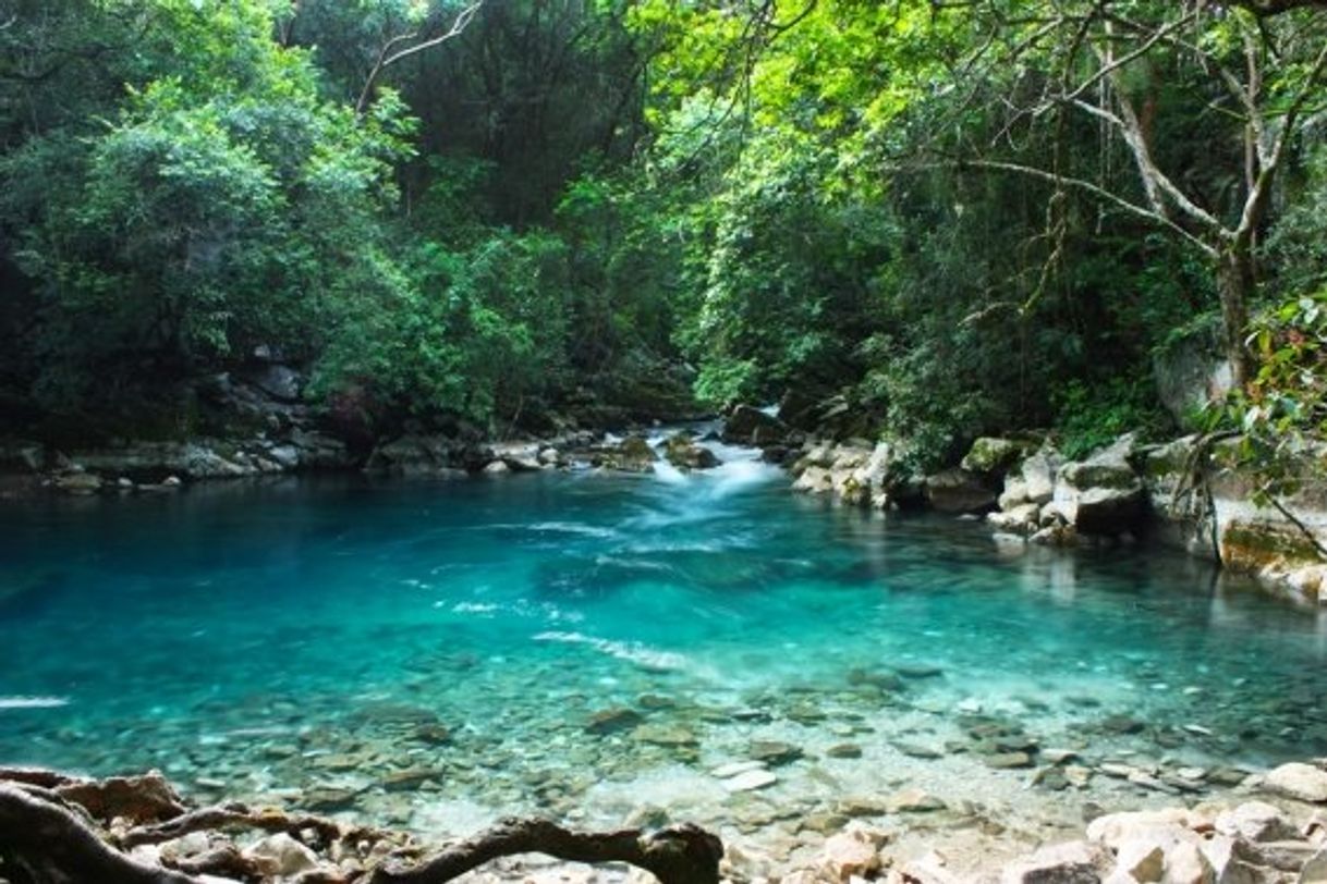 Lugar Reserva de La Biosfera El Cielo