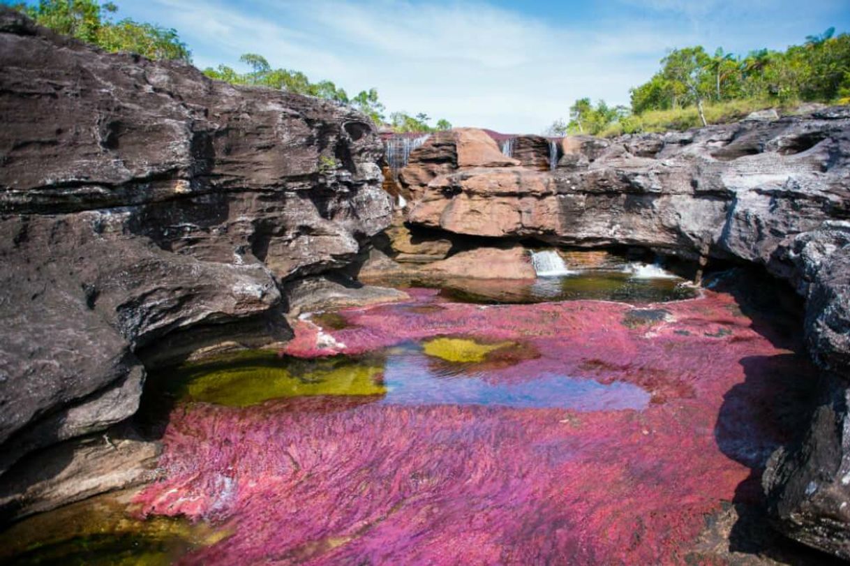 Lugar Caño Cristales