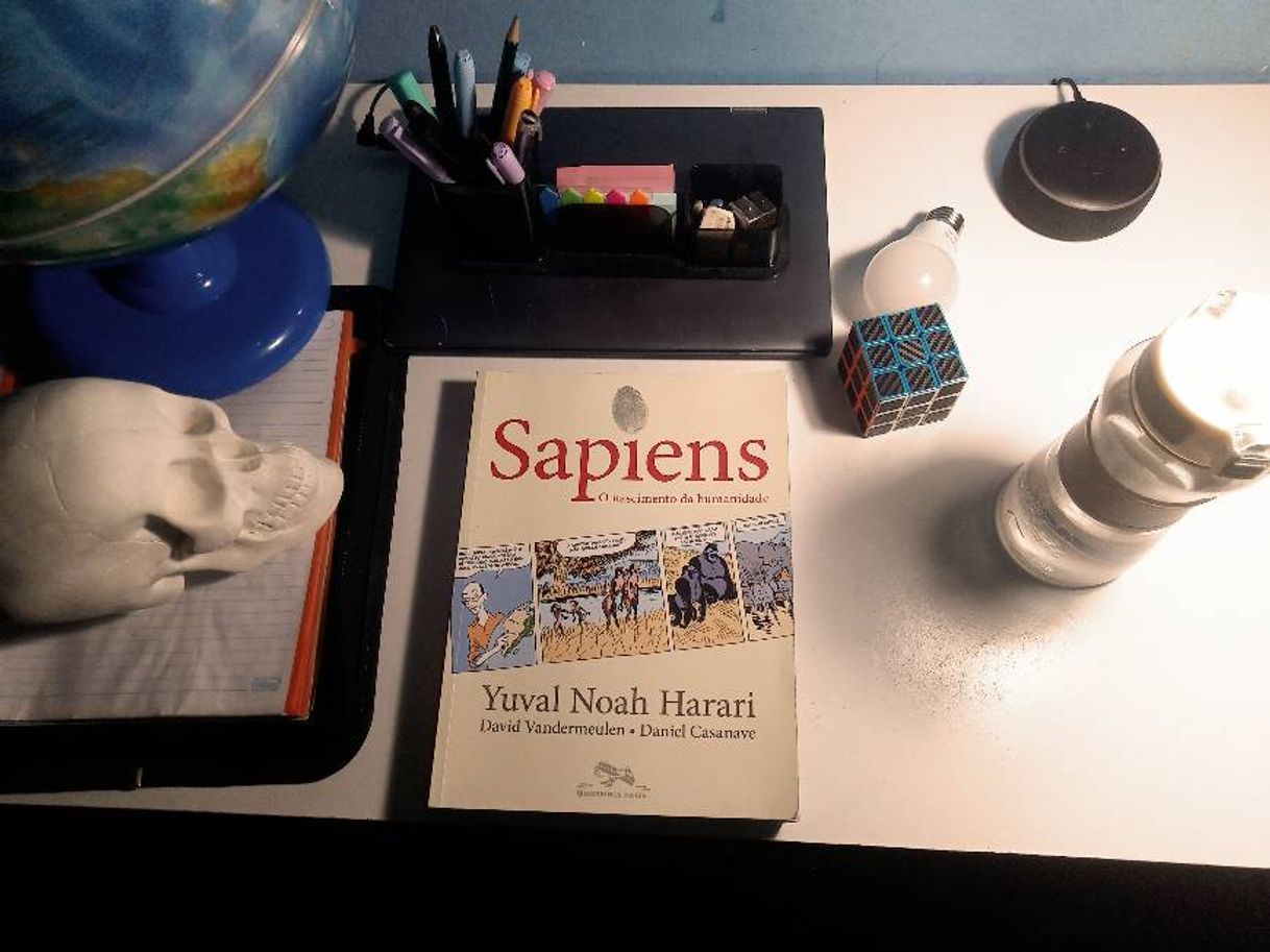 Libro Sapiens