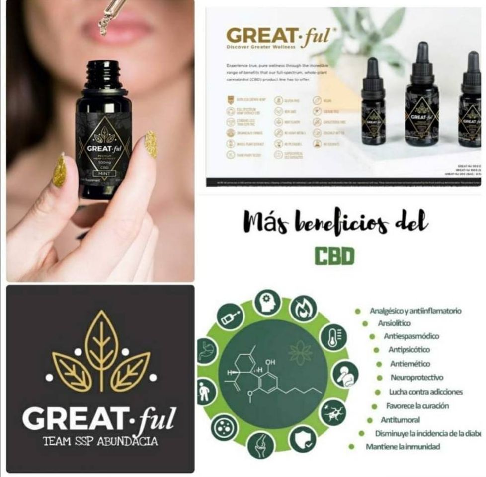Social CBD México - Visita nuestro sitio web —> www.greatful.biz ...