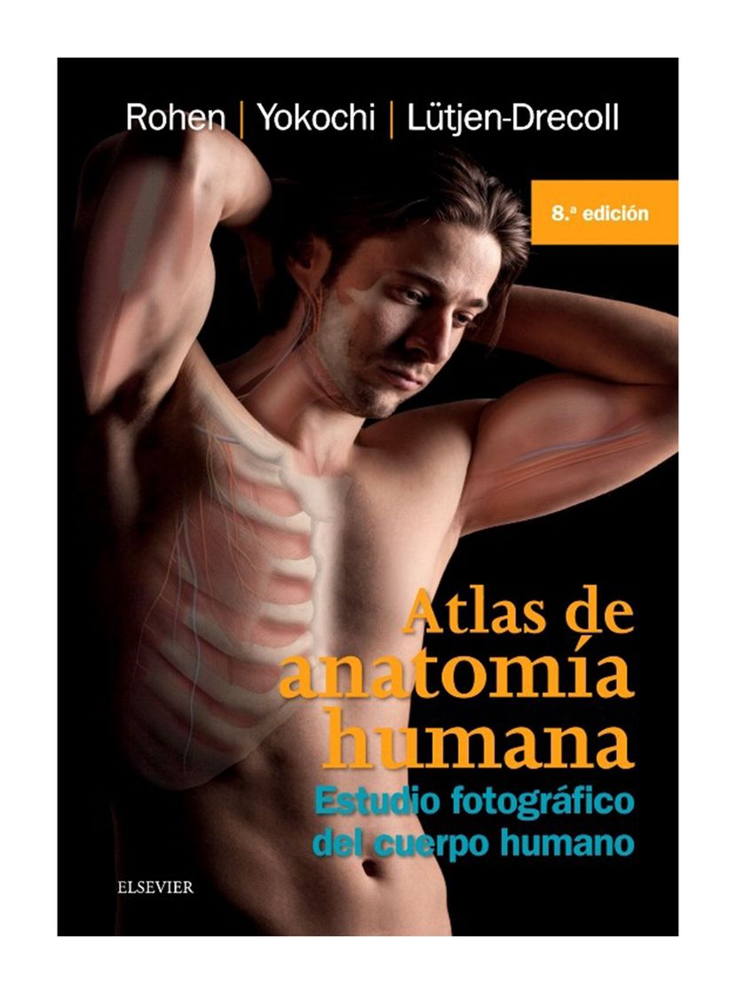 Book Atlas de anatomía humana Yokochi