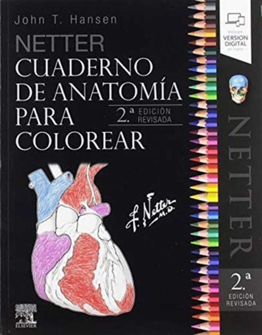 Books Netter Cuaderno de anatomía para colorear