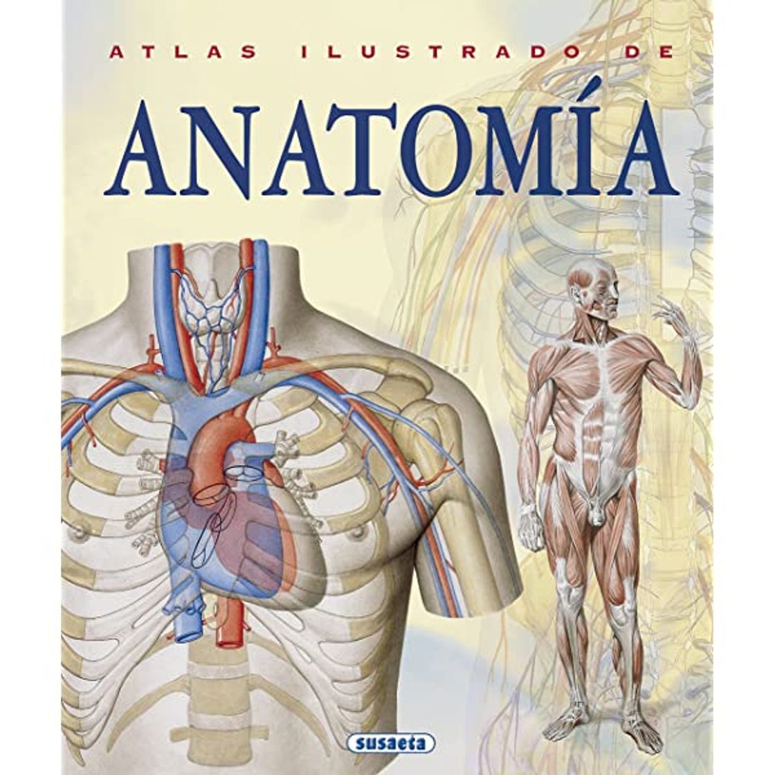 Book Atlas ilustrado de anatomía 