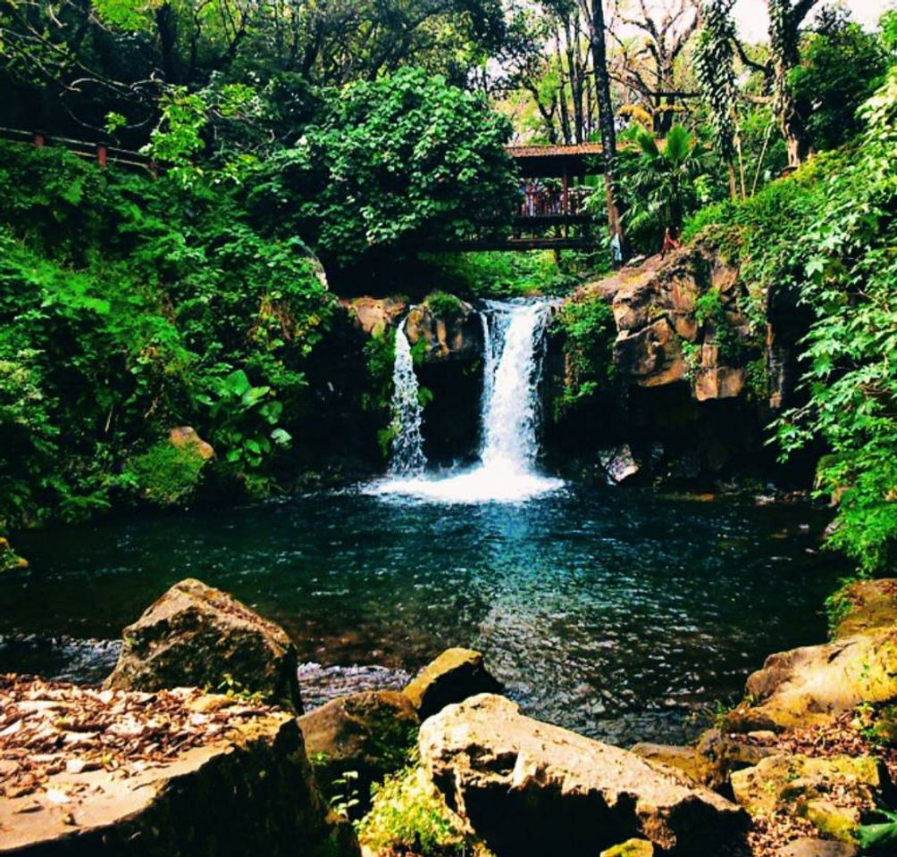 Lugar Parque Nacional
