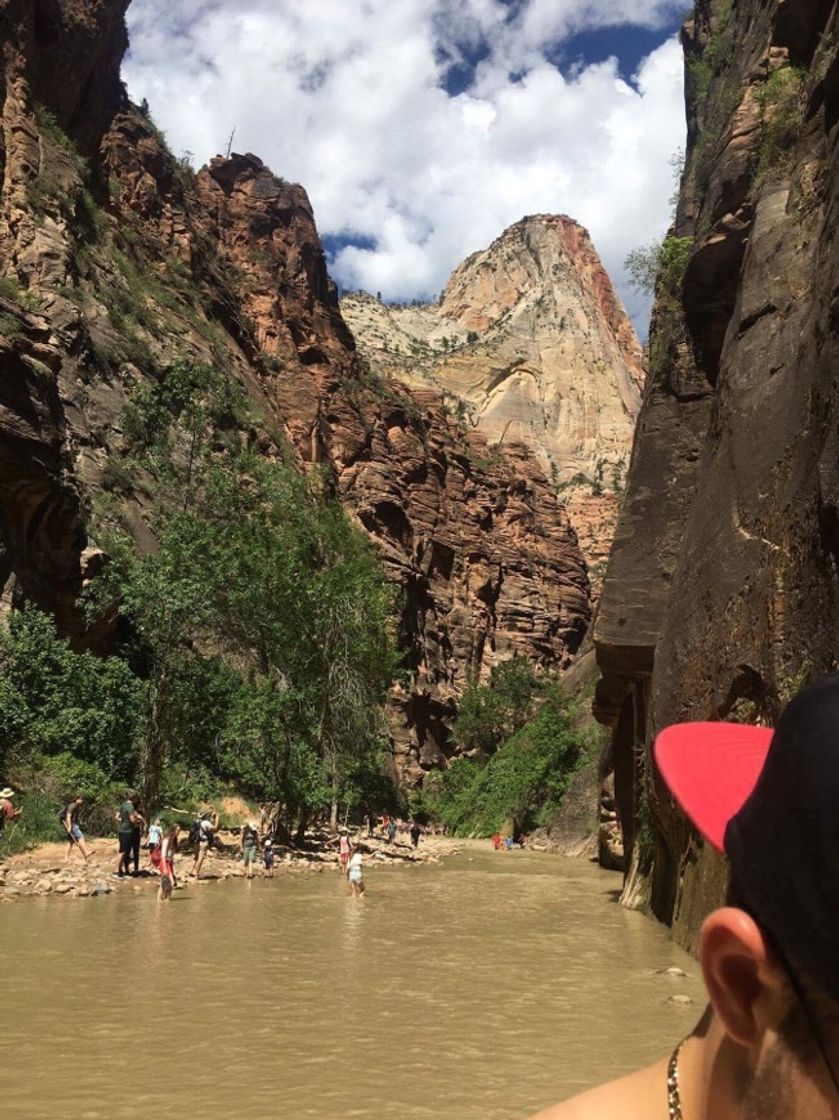 Place Zion National Park