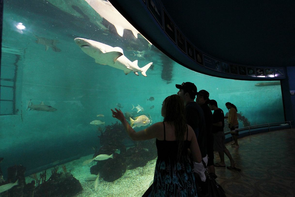 Lugar Acuario Mazatlán