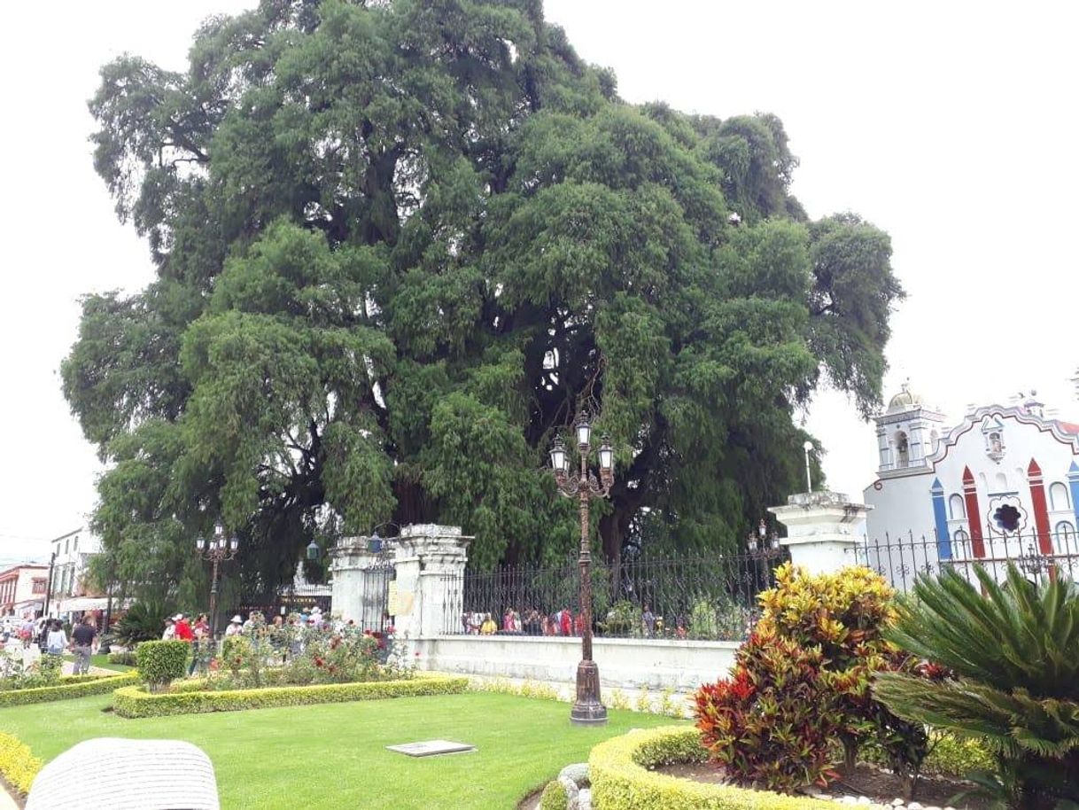 Lugar Oaxaca