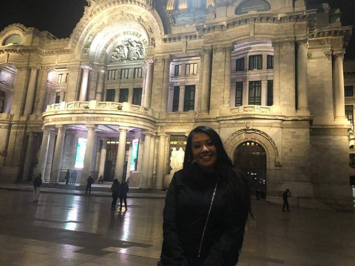 Lugar Palacio de Bellas Artes