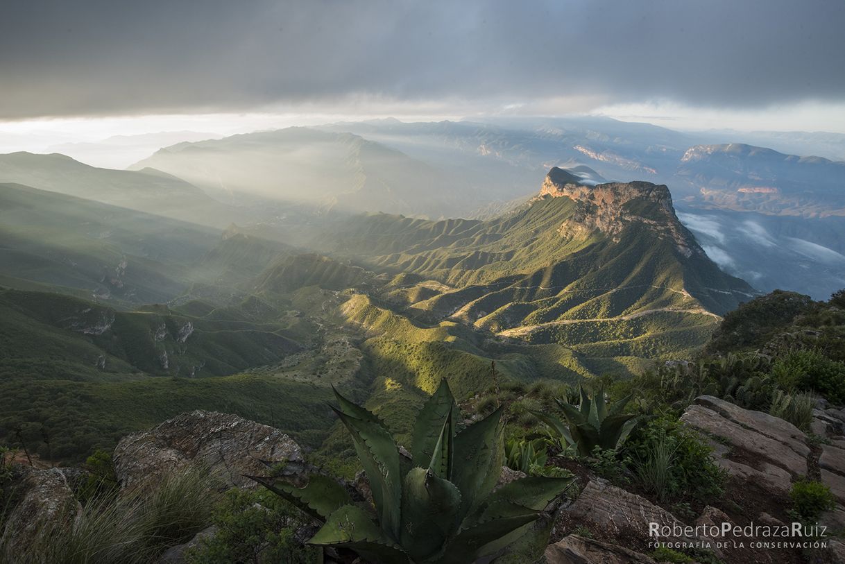 Lugar Mirador de Cuatro Palos