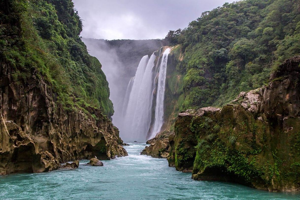 Lugar Huasteca Potosina Oficial