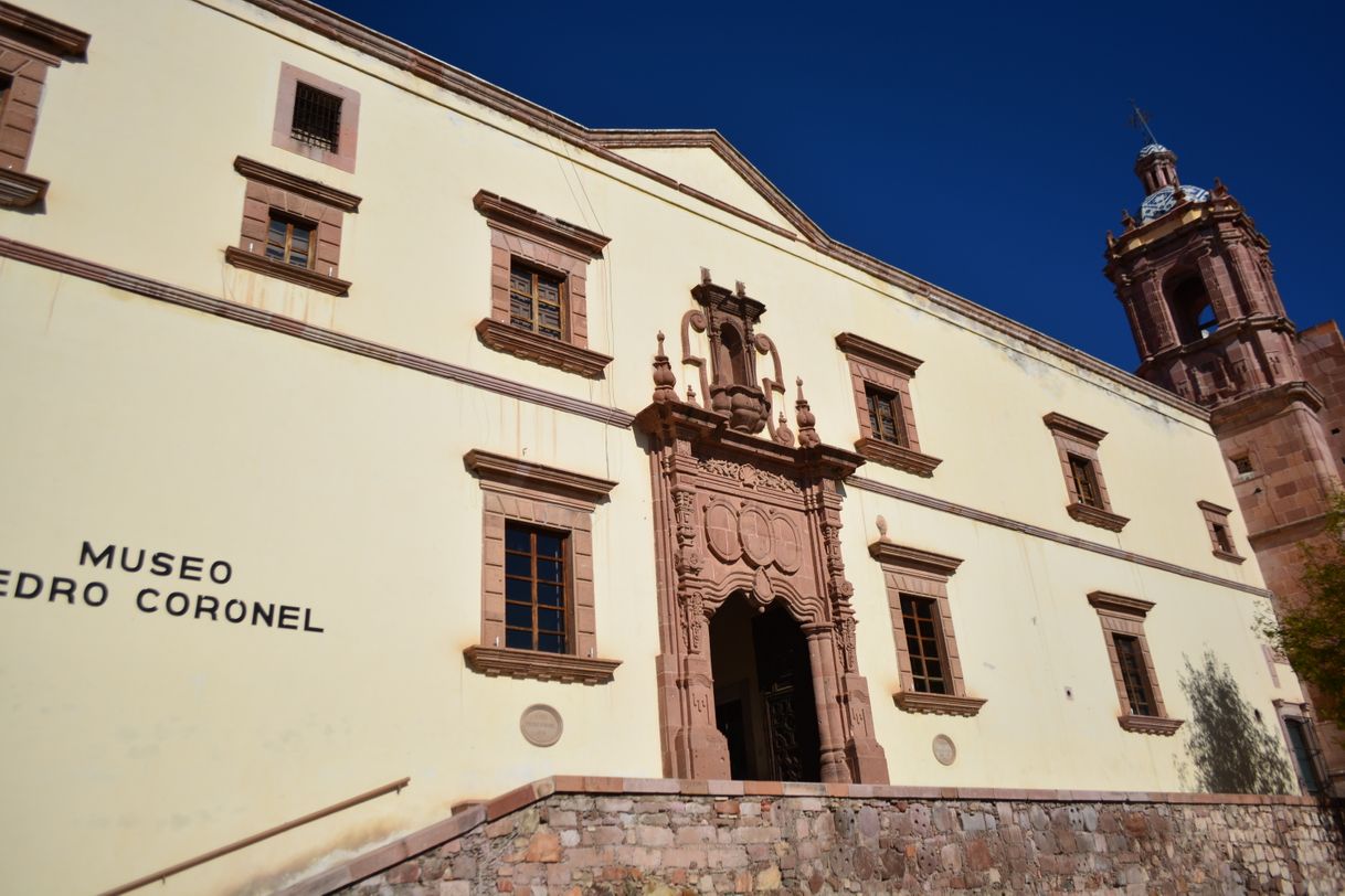 Place Museo Pedro Coronel