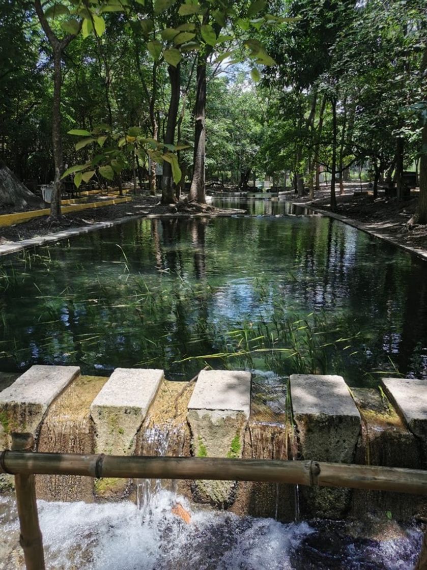 Place Ojo de Agua