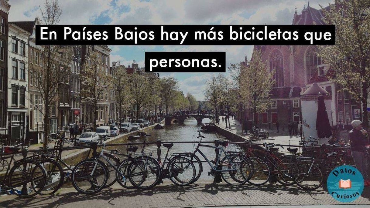 Fashion Hay más bicicletas que personas. - Dato de Interés