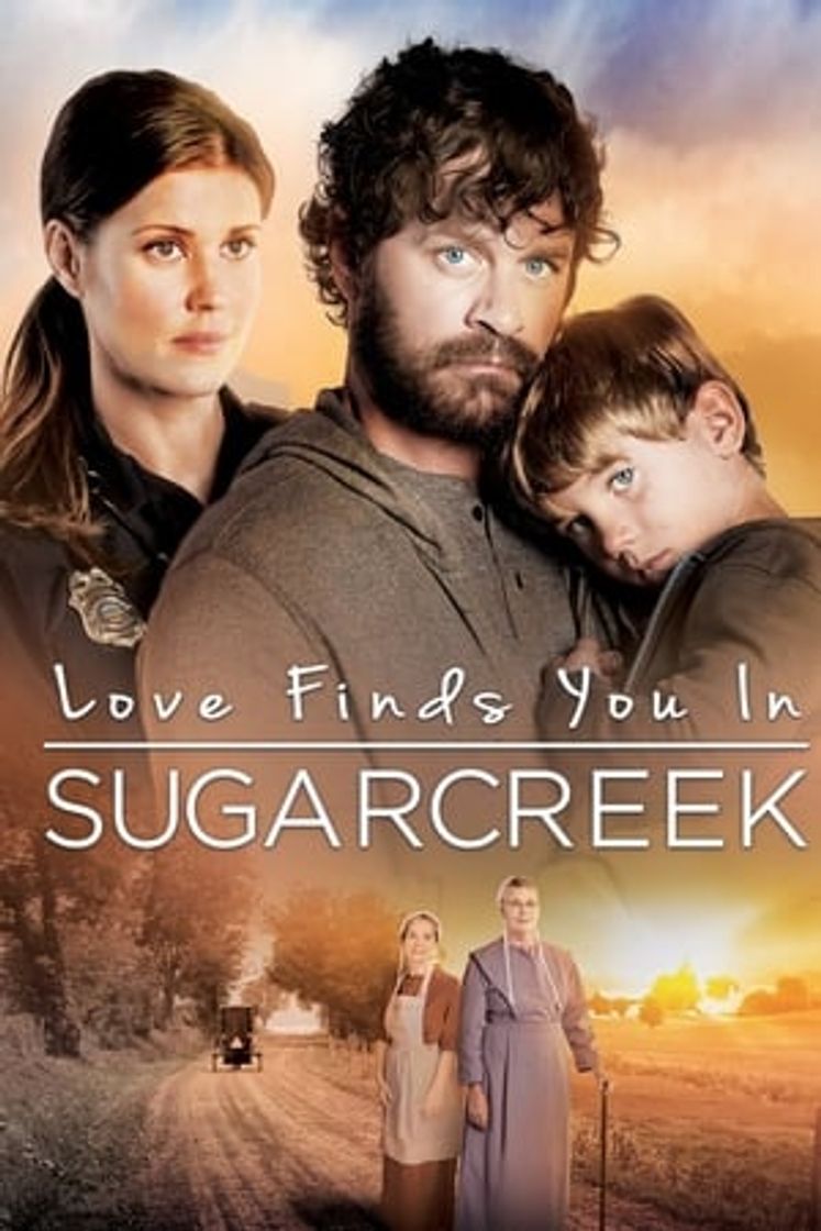 Película Un extraño en Sugarcreek