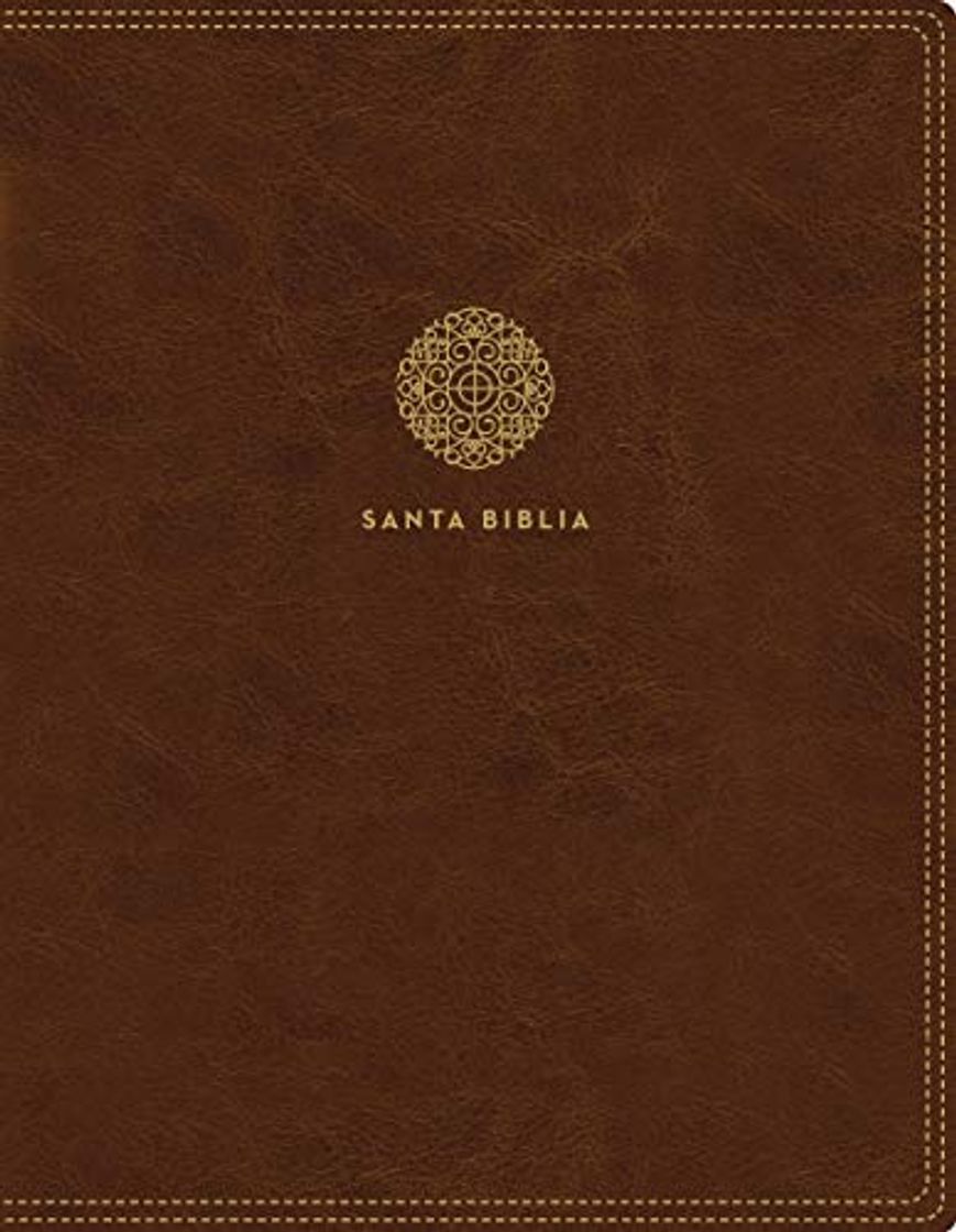 Libro Reina Valera 1960 Santa Biblia Edición Para Notas