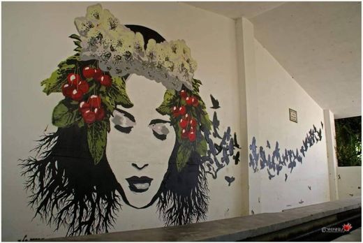 Murales de arte urbano en el municipio de Geldo 