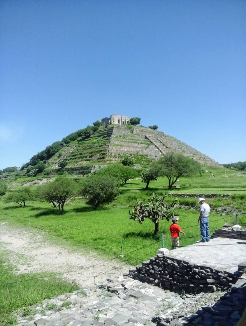 Place Zona Arqueológica El Cerrito