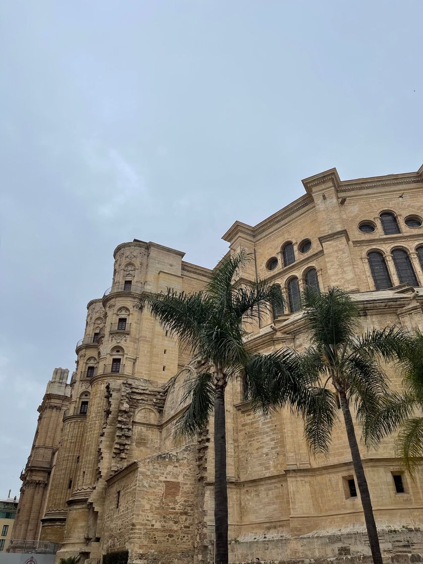 Place Catedral de Málaga