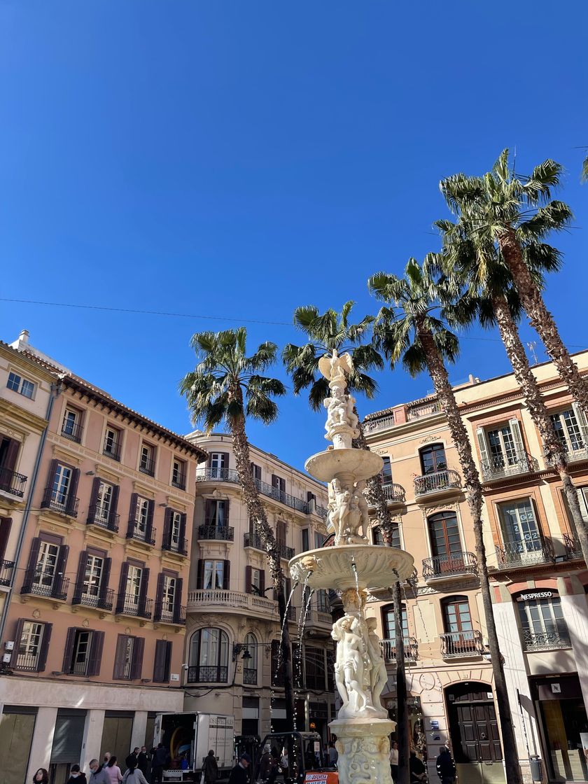 Lugar Plaza de la Constitución