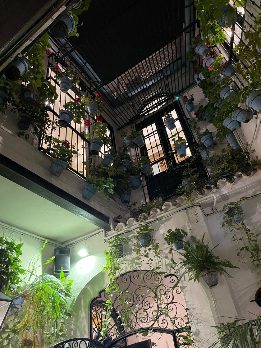 Restaurants Bodega Bar El Pimpi