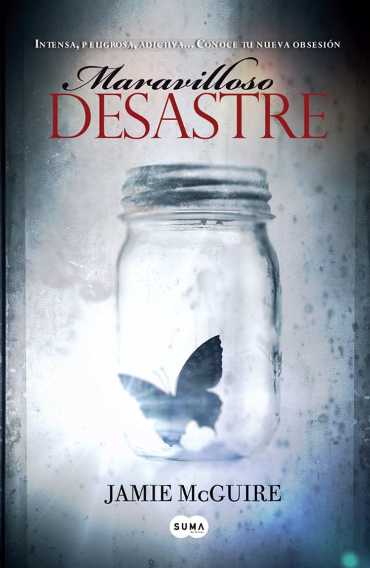 Book Maravilloso Desastre