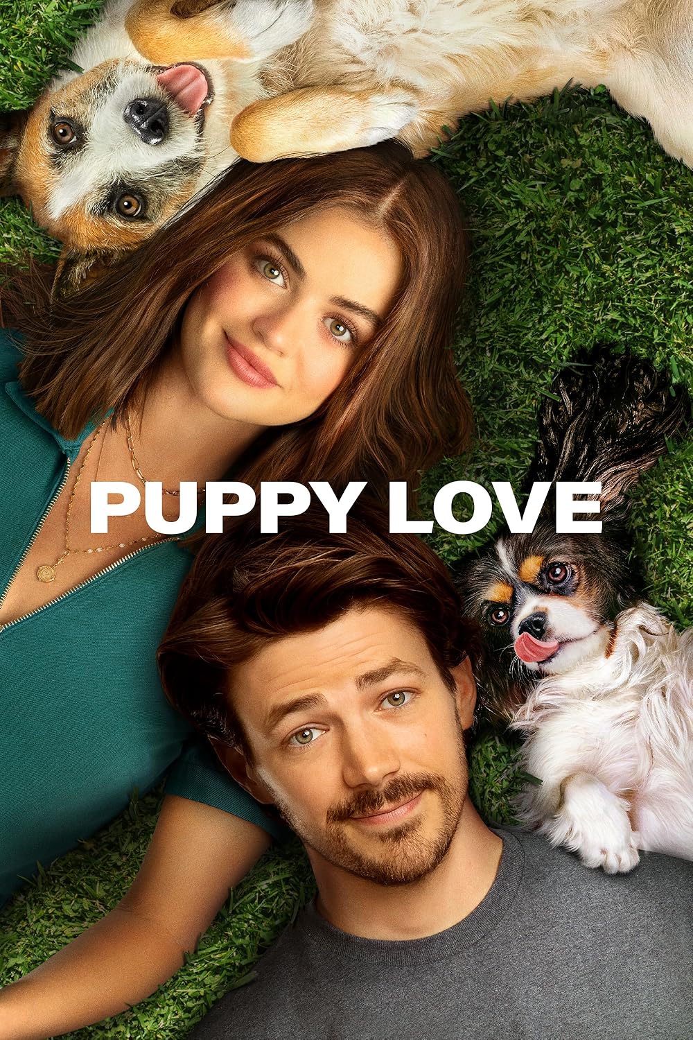 Película Puppy Love