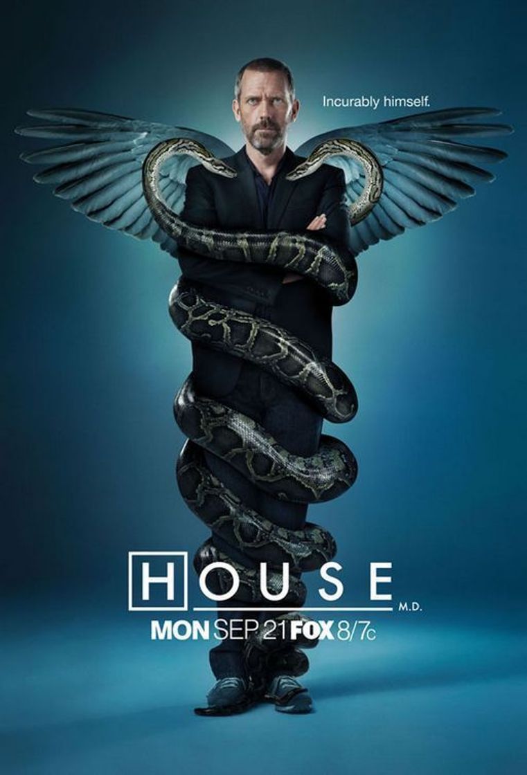 Series House M.D. (TV Series 2004–2012)