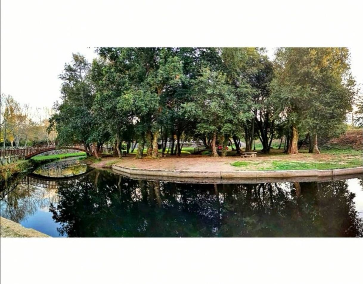 Place Valga