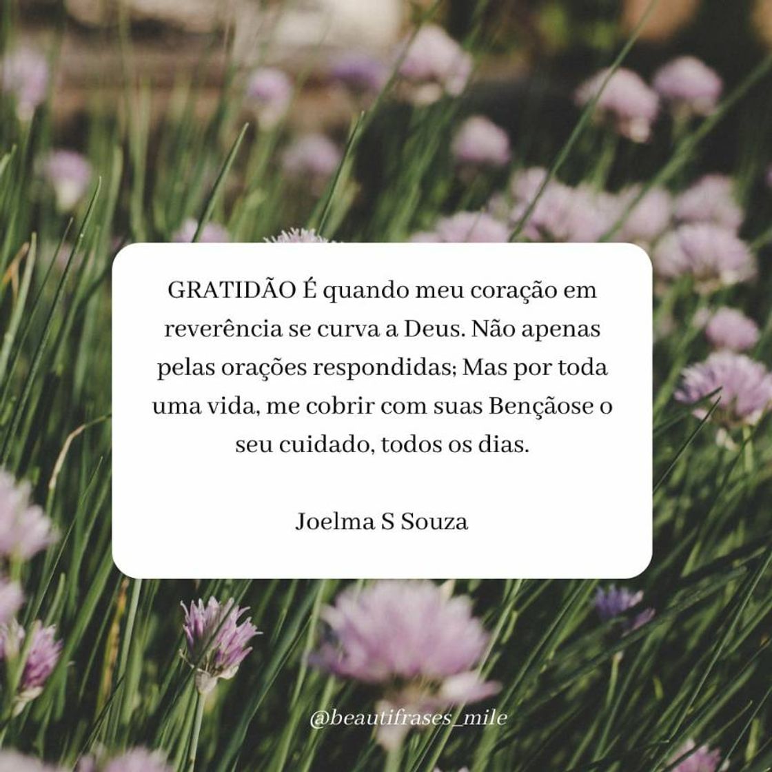 Social @beautifrases_mile 