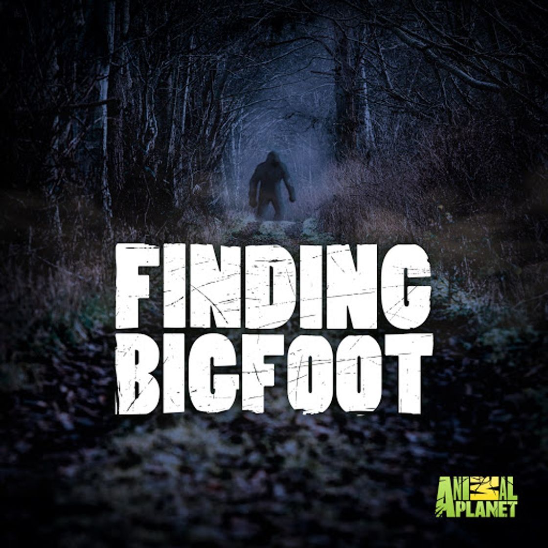 Videogames Finding Bigfoot