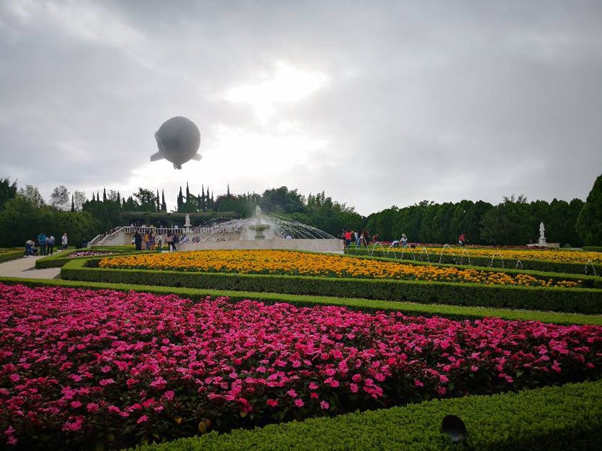 Place Jardines de México