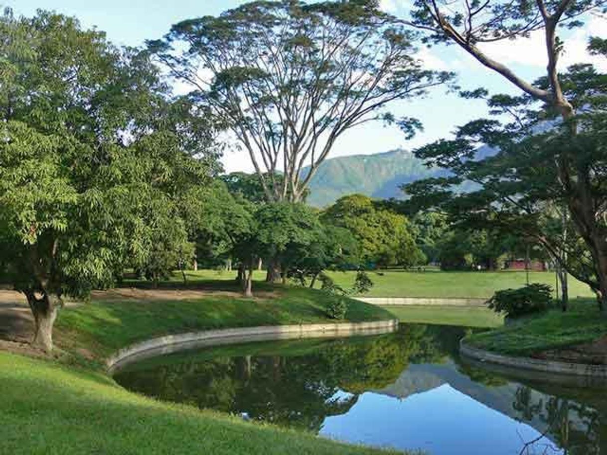 Place Parque del Este