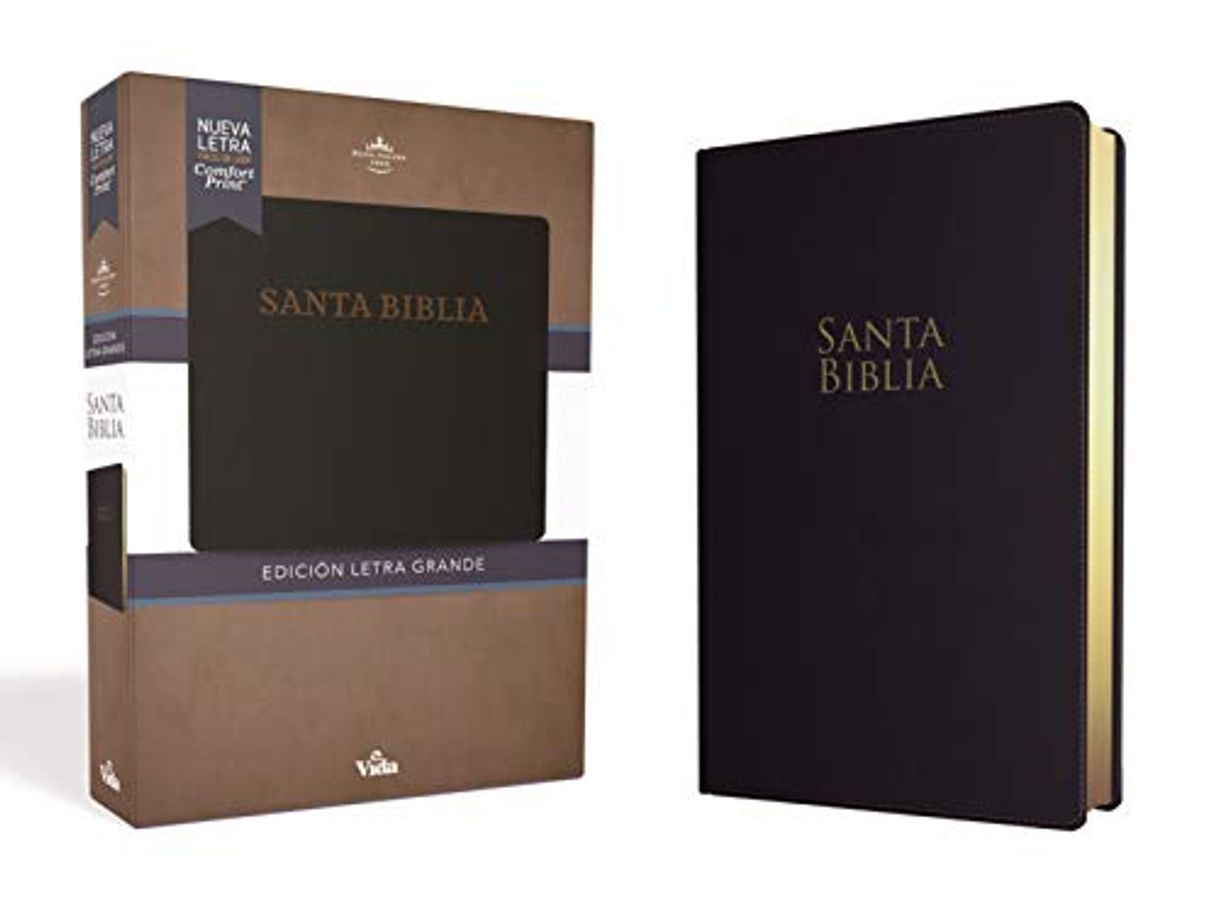 Libro Rvr60 Santa Biblia Letra Grande