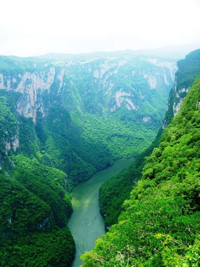 Cañon Del Sumidero