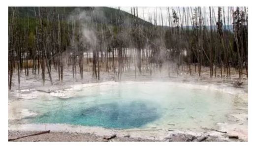 Parque Nacional Yellowstone