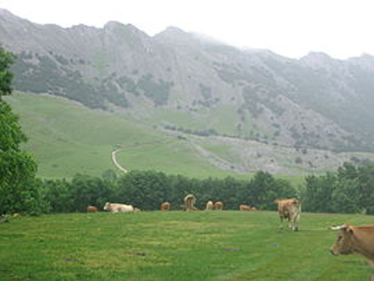 Place Aizkorri (1528 m)