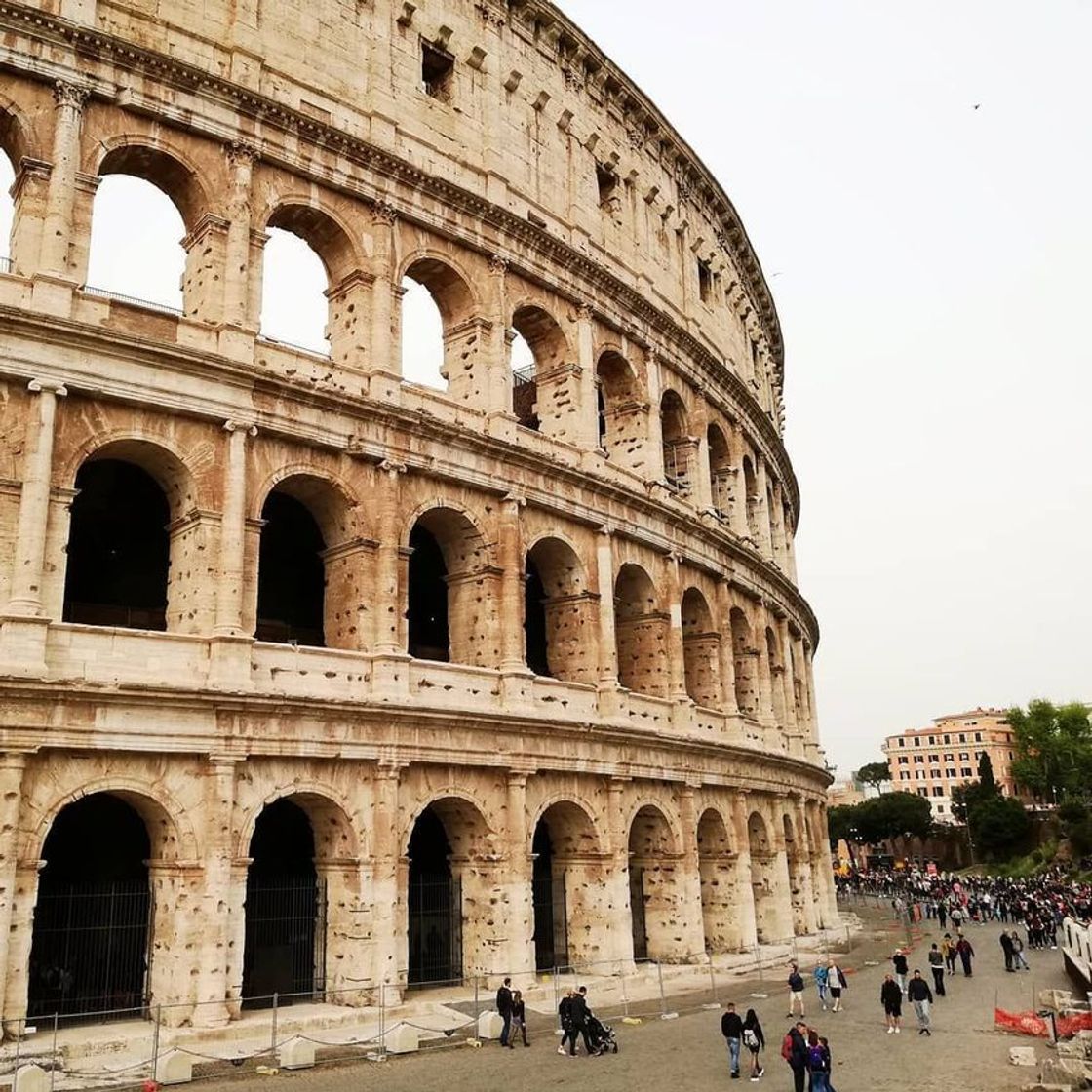 Lugar Colosseo