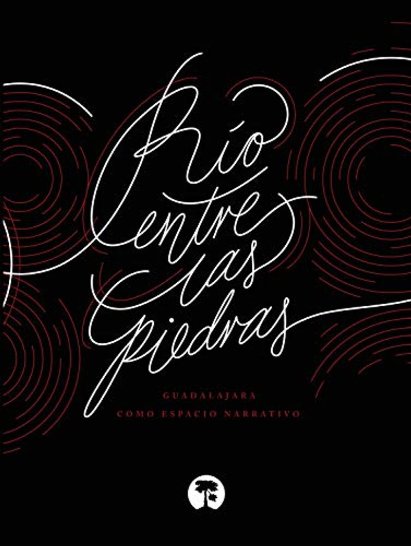 Book Río entre las piedras: Guadalajara como espacio narrativo